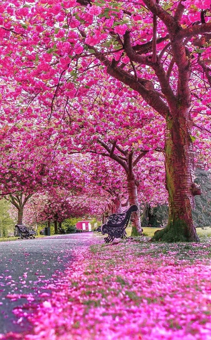 MossFieldCove studio space where corporate flower arrangements are designed and prepared for business delivery